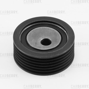 Ролик ремня приводного 55CA193 CARBERRY