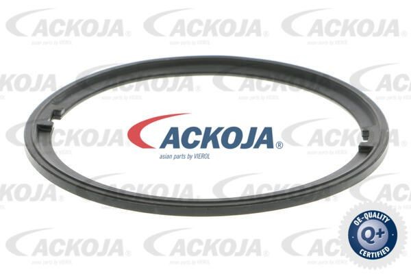 Насос электрический топливной системы в сборе A52-09-0027 ACKOJA