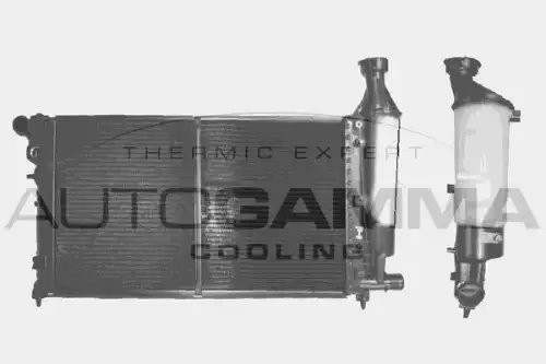 Радиатор охлаждения ДВС 100195 AUTOGAMMA