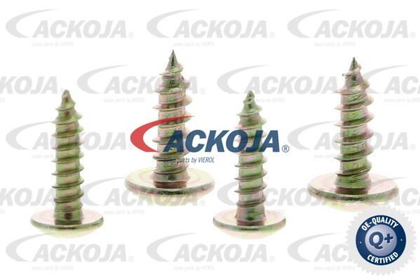 Фильтр салона A37-31-0003 ACKOJA