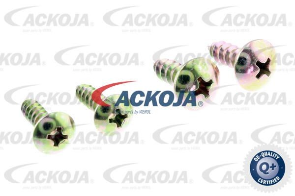 Фильтр салона A37-31-0003 ACKOJA