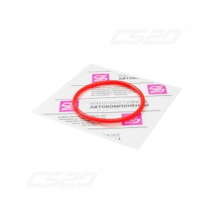 Прокладка топливного насоса 10952 CS20