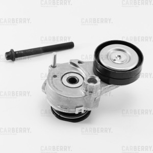 Натяжитель ремня приводного в сборе 55CA242 CARBERRY