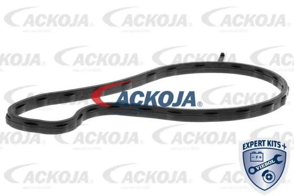 Насос - помпа системы охлаждения ДВС A70-50027 ACKOJA