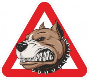 Деталь AGZNAK21 AUTO GUR