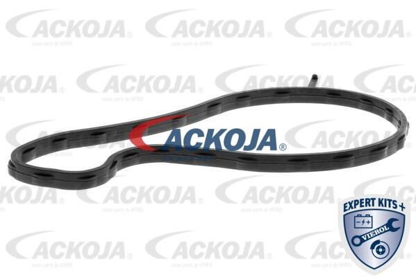 Насос - помпа системы охлаждения ДВС A70-50027 ACKOJA