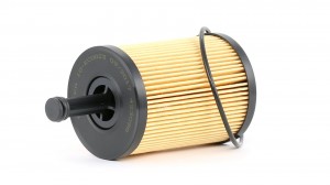 8033001060515 10ECO023 ASHIKA