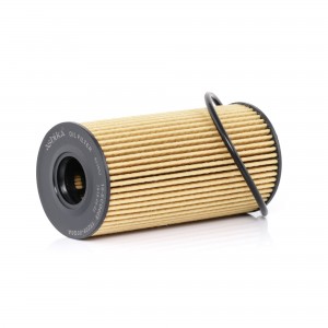 8033001454383 10ECO068 ASHIKA