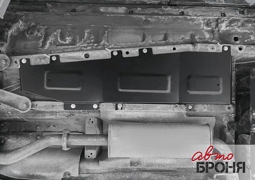 Защита барабанного тормозного механизма 111009301 AVTO BRONYA