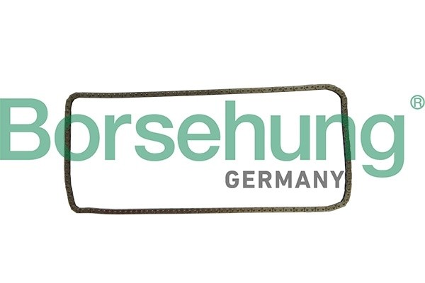 Цепь ГРМ - газораспределительного механизма B1C030 BORSEHUNG