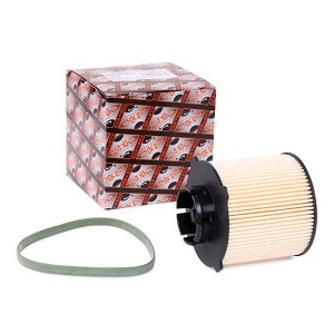 8033001698619 30ECO020 ASHIKA