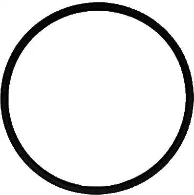 4026634016251 71-39303-00 VICTOR REINZ