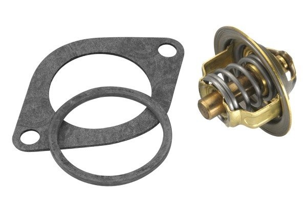 Деталь 305487D50 BORGWARNER