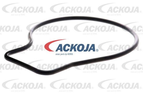 Насос - помпа системы охлаждения ДВС A26-50011 ACKOJA