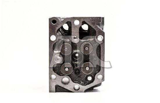 Головка блока цилиндров 909271 AMC