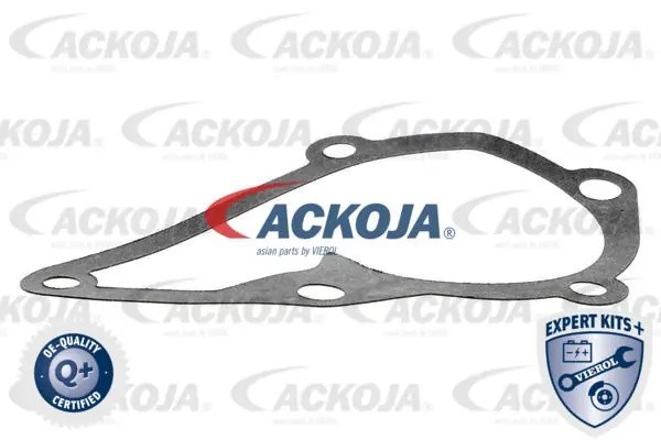 Насос - помпа системы охлаждения ДВС A52-0701 ACKOJA