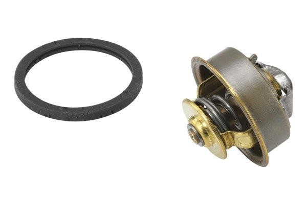 Деталь 408971D BORGWARNER