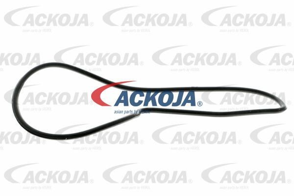 Насос - помпа системы охлаждения ДВС A26-50009 ACKOJA