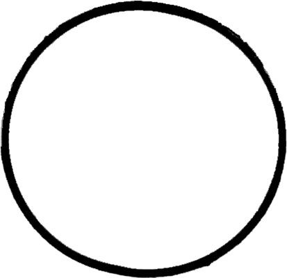 Прокладка выпускного коллектора 71-37877-00 VICTOR REINZ