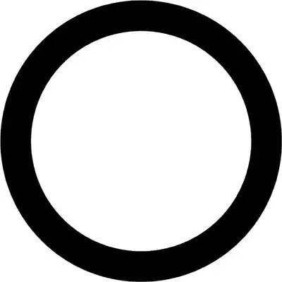 Кольцо уплотнительное системы ОГ 71-11993-00 VICTOR REINZ