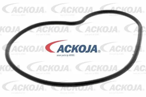 Насос - помпа системы охлаждения ДВС A26-50021 ACKOJA