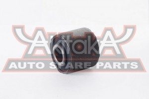 2000079553825 1201-SPAR1 ASVA