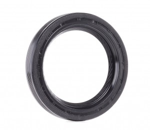 812624410 81-26244-10 VICTOR REINZ