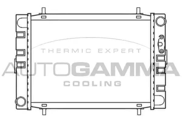 Деталь 100069 AUTOGAMMA