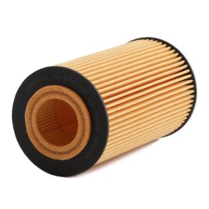 8033001060355 10ECO006 ASHIKA