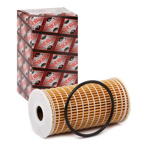 8033001782431 10ECO119 ASHIKA