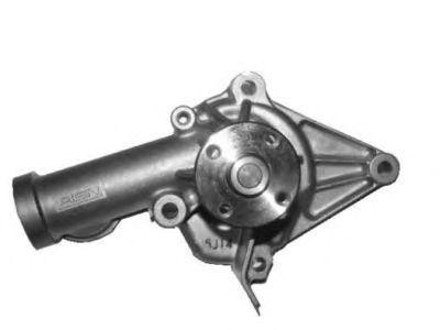 5411450647007 WPM001 AISIN