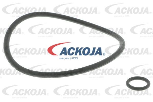 Фильтр масляный двигателя A52-0507 ACKOJA