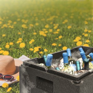 Сумка - холодильник, термос ADCB019 AIRLINE