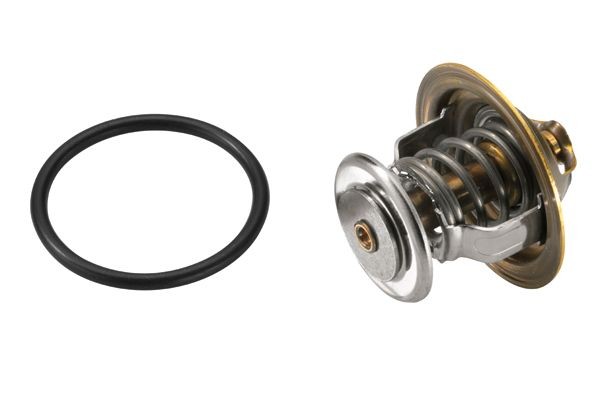 Термостат системы охлаждения 4255.87D WAHLER