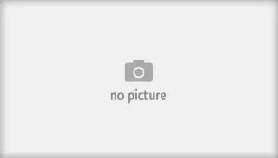 Колодки тормозные дисковые BP3705 BREMSI