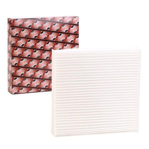 8033001314878 21SZZ08 ASHIKA