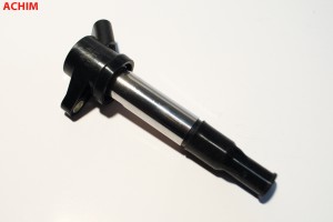 Катушка зажигания IGN4001 ACHIM