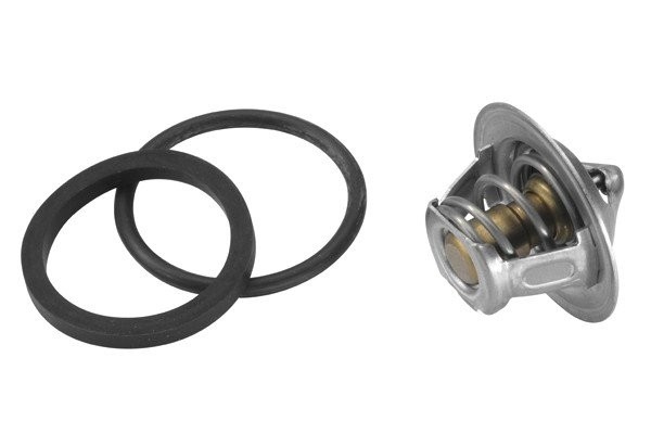 Деталь 301792D50 BORGWARNER