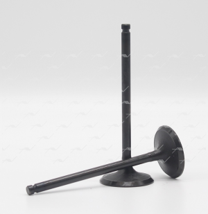 Клапан впускной VI-38005 AUTOWELT