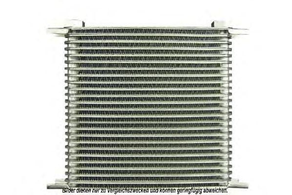 Деталь 930143N AKS DASIS