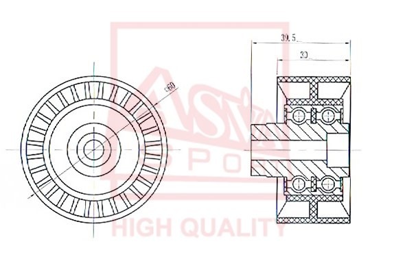 2000079578972 CTBP-003 ASVA