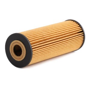 8033001060386 10ECO009 ASHIKA