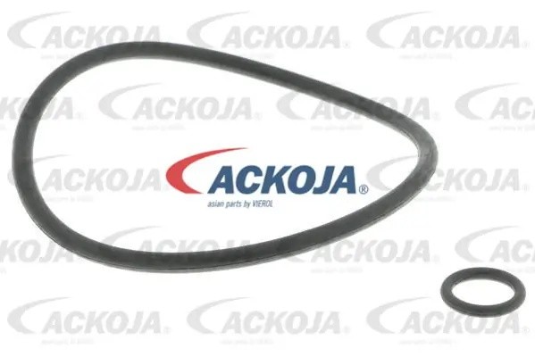Фильтр масляный двигателя A52-0507 ACKOJA