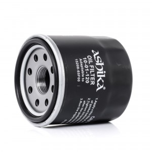 8033001061666 10-01-120 ASHIKA