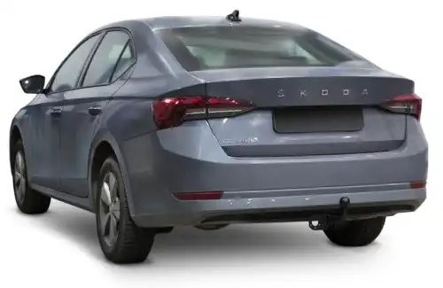 Прицепное устройство - фаркоп F5113001 BERG