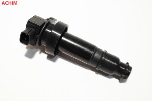 Катушка зажигания IGN3005 ACHIM