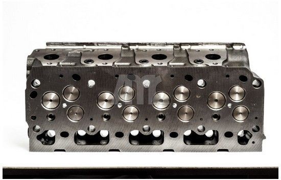 Головка блока цилиндров 909189 AMC