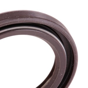 4026634311790 81-53234-00 VICTOR REINZ