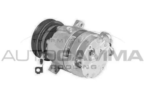 Деталь 108181 AUTOGAMMA