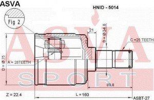 2301551000005 HNID-5014 ASVA